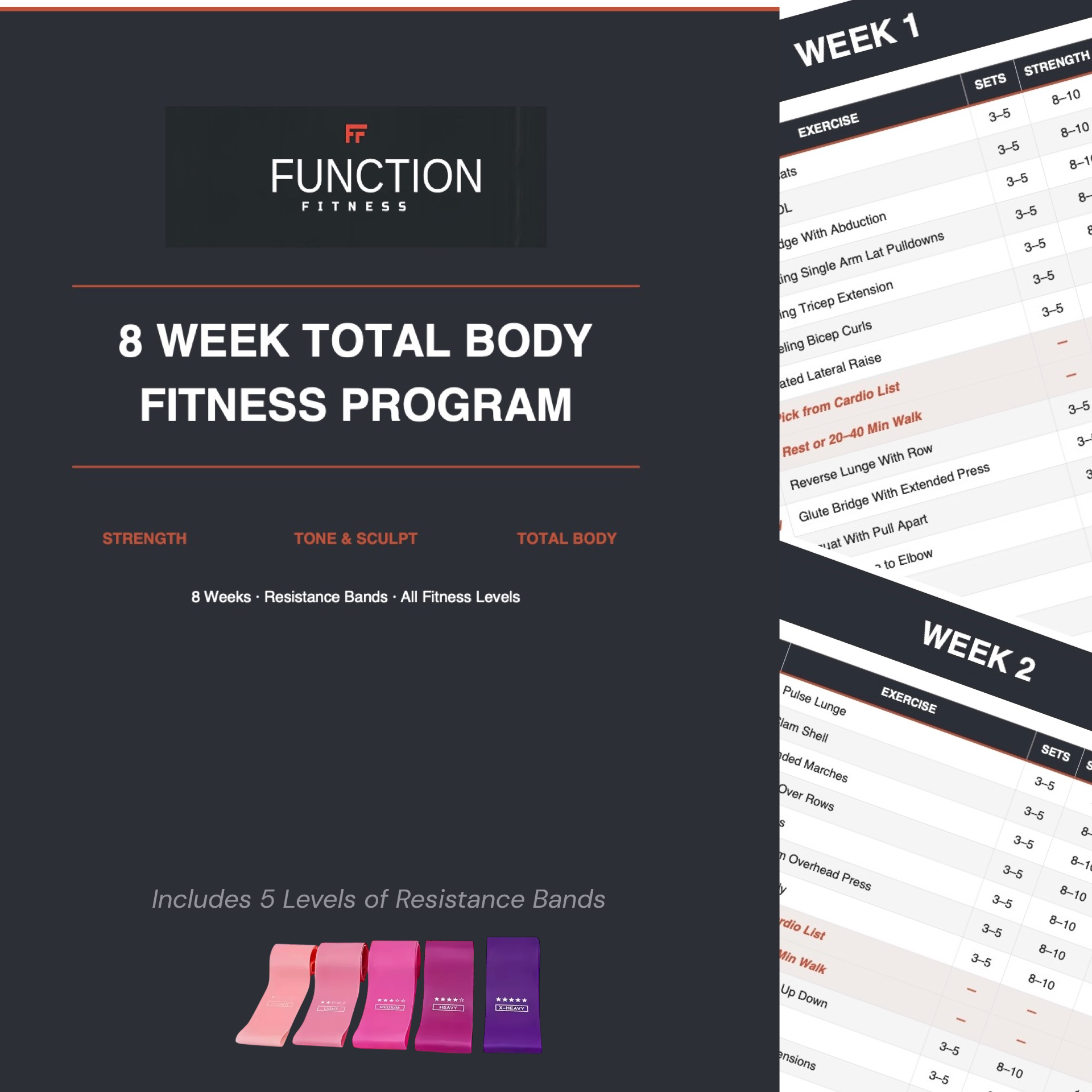 The Complete System: 5 Resistance Band Pack: Includes 8 Week Downloadable Fitness Program with Video Demo